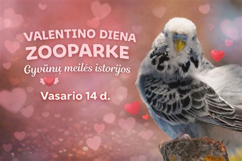 Zoopark Kaune