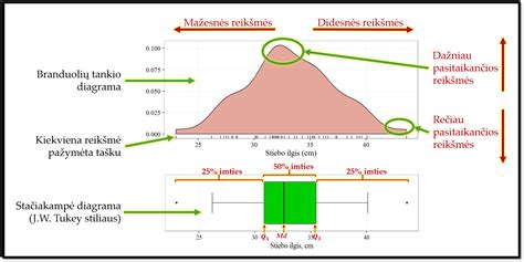 vystyklo tipų palyginimas
