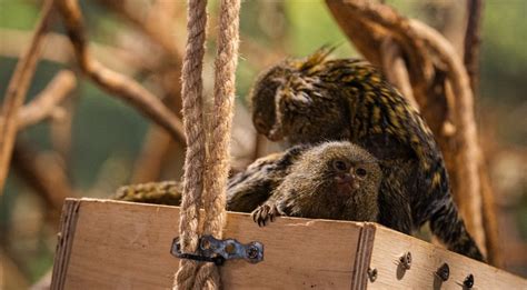 Vienintelis Vilniuje zoologijos sodas - „Zoopark“