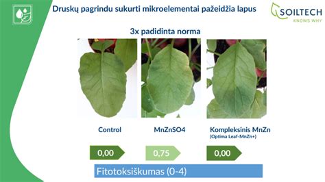 skirtingų stomatito formų vizualinis palyginimas