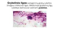 Nuotrauka: Pažeistas nagas su grybeline infekcija