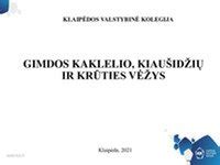 schematinis gimdos ir kiaušidžių vaizdas