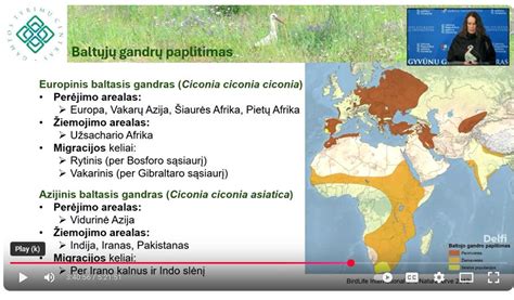 Pagalbos ieškojimas ir atsakomybės ribos