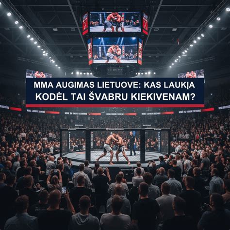 MMA augimas ir mokesčių įtaka