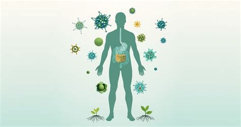 Sierą redukuojančios bakterijos