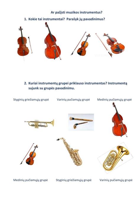 muzikos instrumentai ir natos