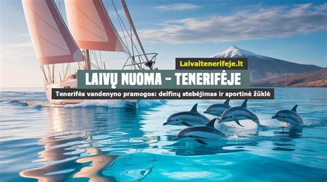 Delfinų stebėjimas Tenerifėje