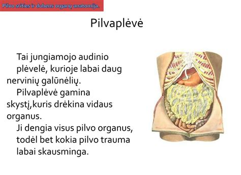Sąaugų susidarymas pilvo ertmėje