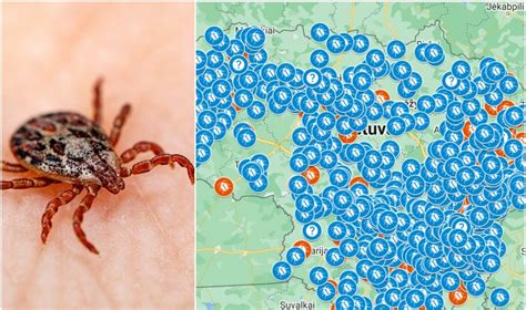 Žemėlapis su pažymėtomis erkinio encefalito endeminėmis zonomis Lietuvoje