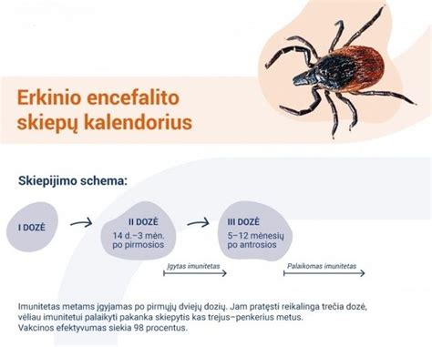 Infografika: Statistika apie susirgimus erkinio encefalito Lietuvoje