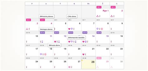 Infografika: vaisingumo kalendorius ir ovuliacijos prognozė