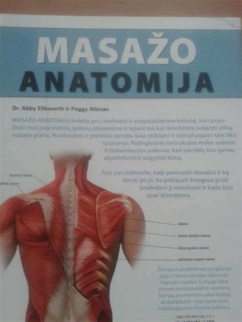 Vaiko anatomija masažo schemoje