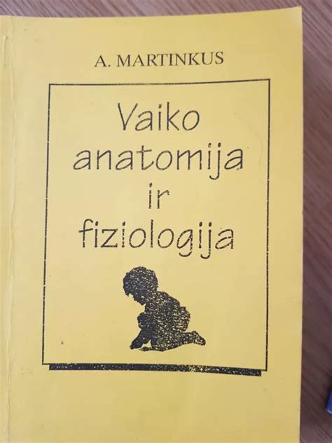 vaiko inkstų anatomija