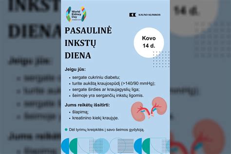 sveikų inkstų iliustracija
