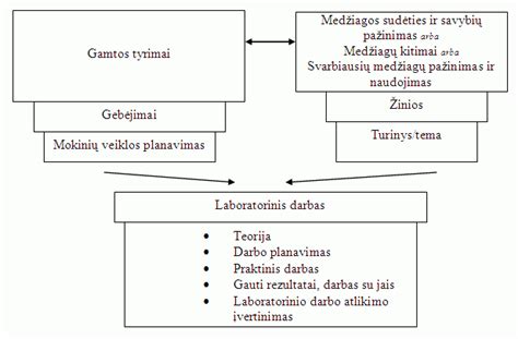 Schematinis dvynių susidarymo pavaizdavimas