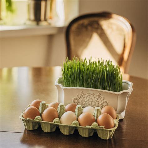 Kiaušinio trynio spalvos įvairovė