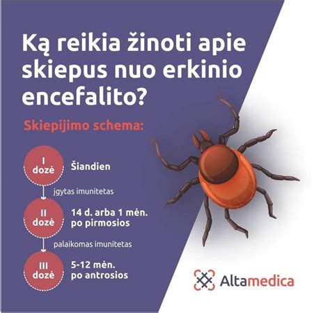Erkinio encefalito viruso struktūra