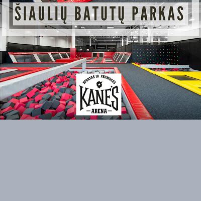 šeima džiaugsmingai švenčianti vaiko gimtadienį su nuomotu batutu