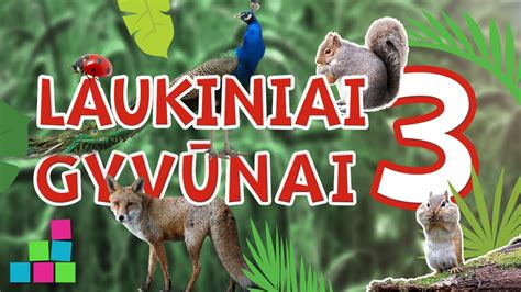 toteminių gyvūnų simbolika