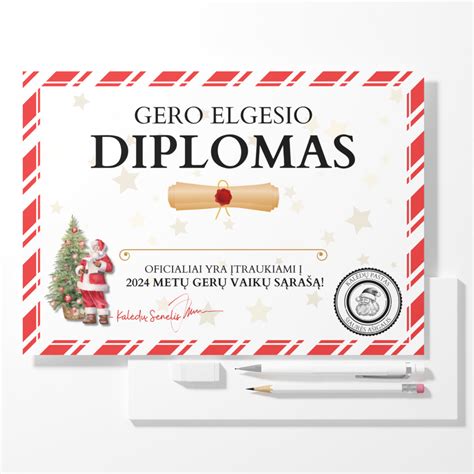 Gero elgesio sertifikato pavyzdys