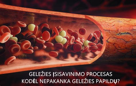 Geležies papildų vartojimo taisyklės ir mitybos įtaka