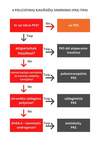 Policistinių kiaušidžių sindromas - kiaušidžių diagrama su cistomis ir hormonų poveikis