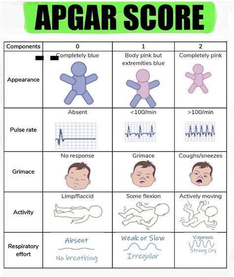 Apgar skalės paaiškinimas