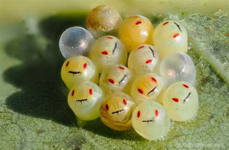 vaikai ruošia dekoracijas šventei