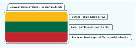 Lietuvos trispalvės vėliavos spalvų reikšmės infografika