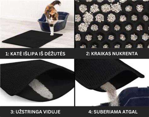 Nėščiosios rankos mūvi pirštines valydamos kačių kraiko dėžę