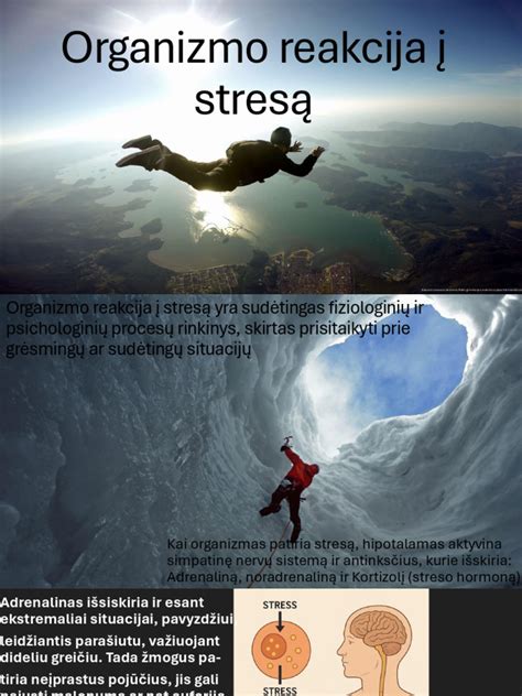 Organizmo reakcija į karščiavimą