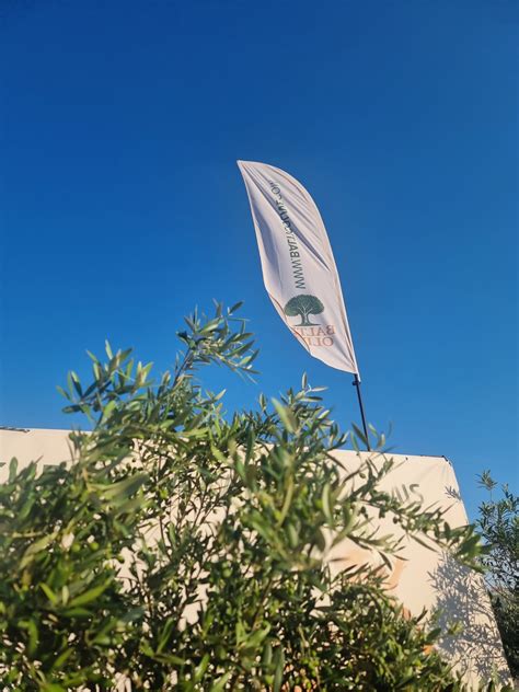 Vėsi ir vėdinama patalpa