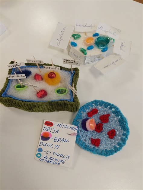 Vaikų atliekamas vulkano išsiveržimo eksperimentas