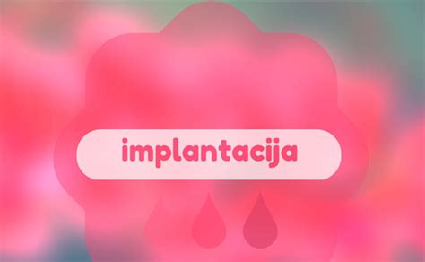 Implantacinis kraujavimas (schematinis vaizdas)