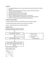 Kraujo ląstelių palyginimas