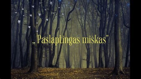 Paslaptingas miškas, apšviestas mėnulio šviesos