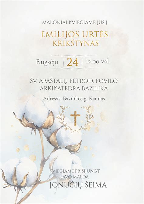 Medvilnės augalo iliustracija