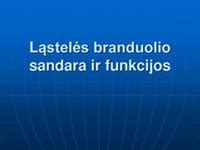 Saulės branduolio sintezė
