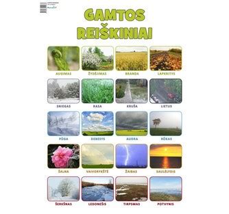Plakatas su įvairiais gamtos reiškiniais: šerkšnas, vaivorykštė, rūkas, potvynis, rasa