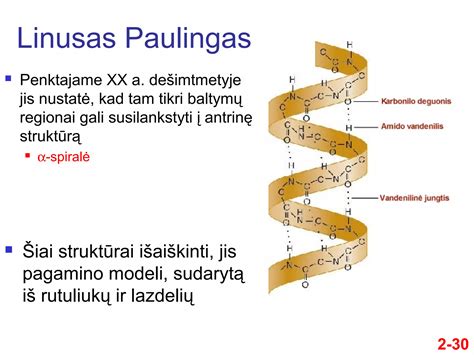 Molekulinė simetikono struktūra