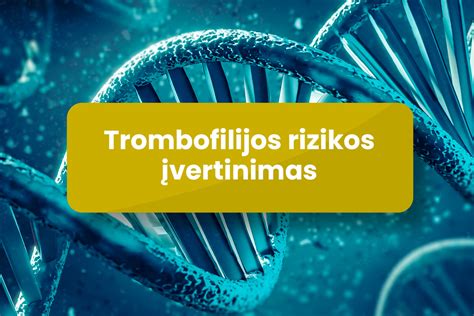 Tyrimų registracija
