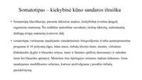 Konstruotos nešioklės tipai
