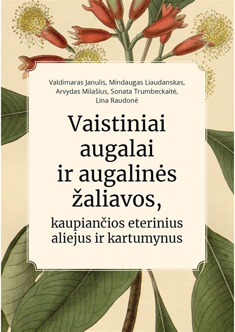 augalinės žaliavos sirupo sudėčiai