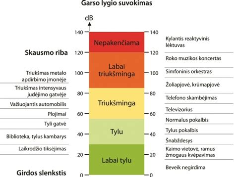 Kūdikio ausys ir triukšmo lygis