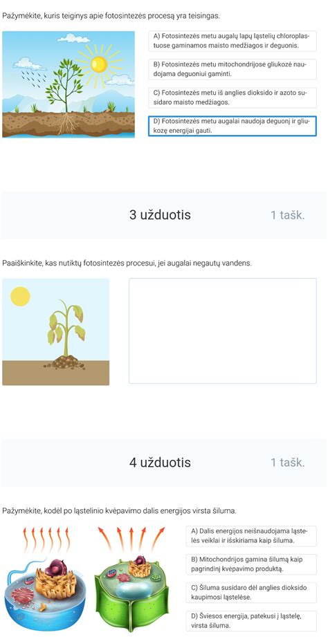 Augalas fotosintezės metu
