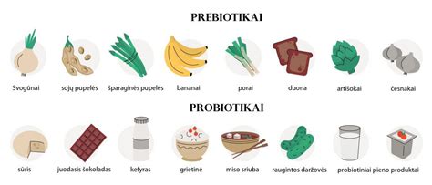 Antibiotikų poveikis žarnyno mikrobiotai