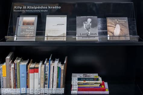 Knygų kategorijų iliustracija su pavyzdžiais