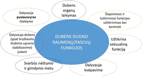 Dubens raiščiai ir sąnariai