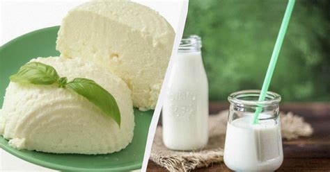 Jogurtas ir varškė kūdikiui