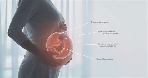 Alkoholio perdavimas per placentą
